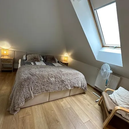 Apartment Comfort Zone Boho Scandi *