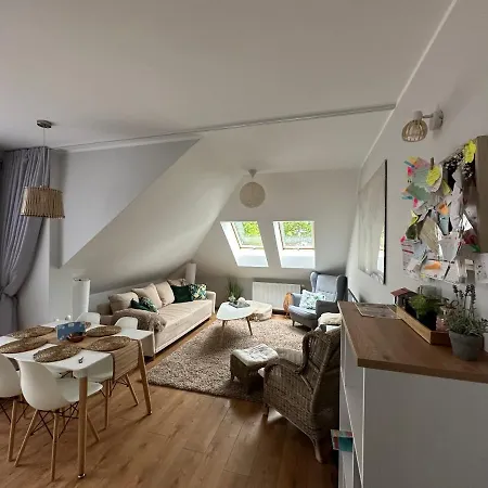 Apartment Comfort Zone Boho Scandi *