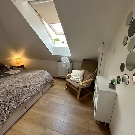 아파트 Comfort Zone Boho Scandi