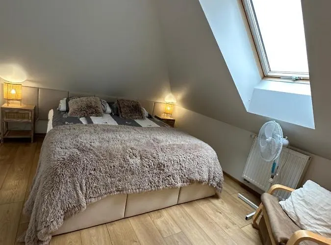 Apartment Comfort Zone Boho Scandi *